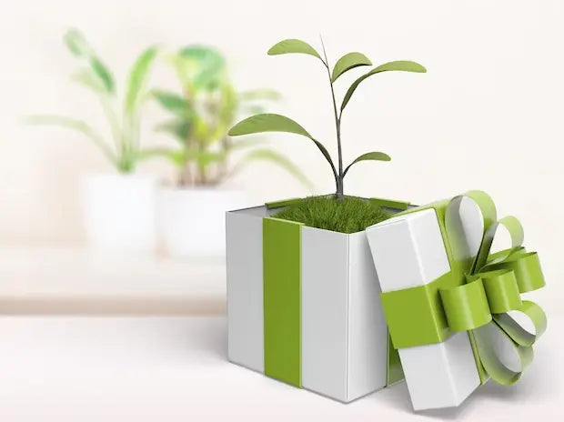 Plant Gifts for Every Occasion: A Green and Growing Trend - Plants By Post