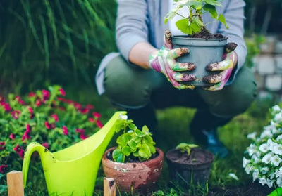 Unearth Well Being: How Gardening Cultivates Mental and Physical Health