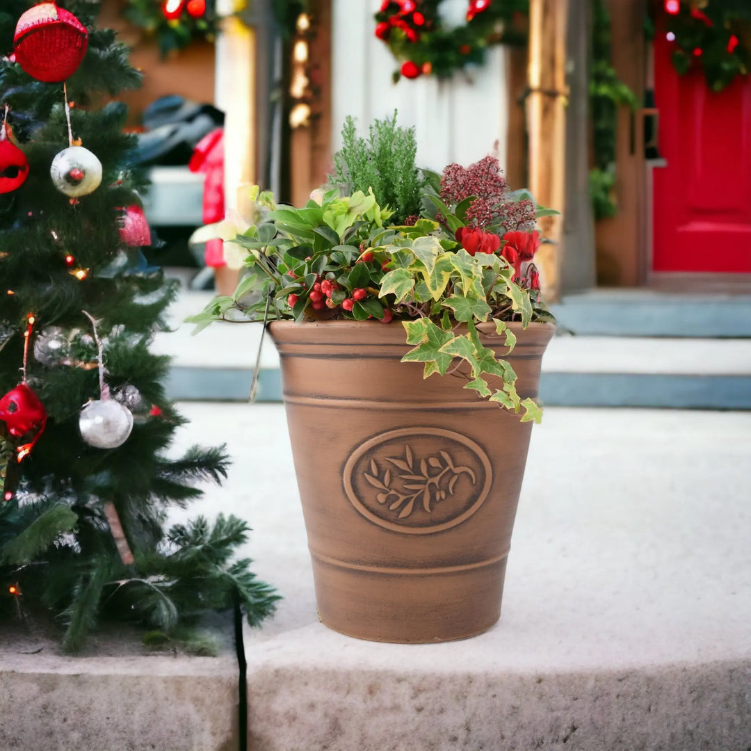 festive planter at plants by post