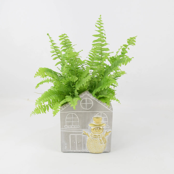 Boston Fern 12cm Snowman House Concrete Pot