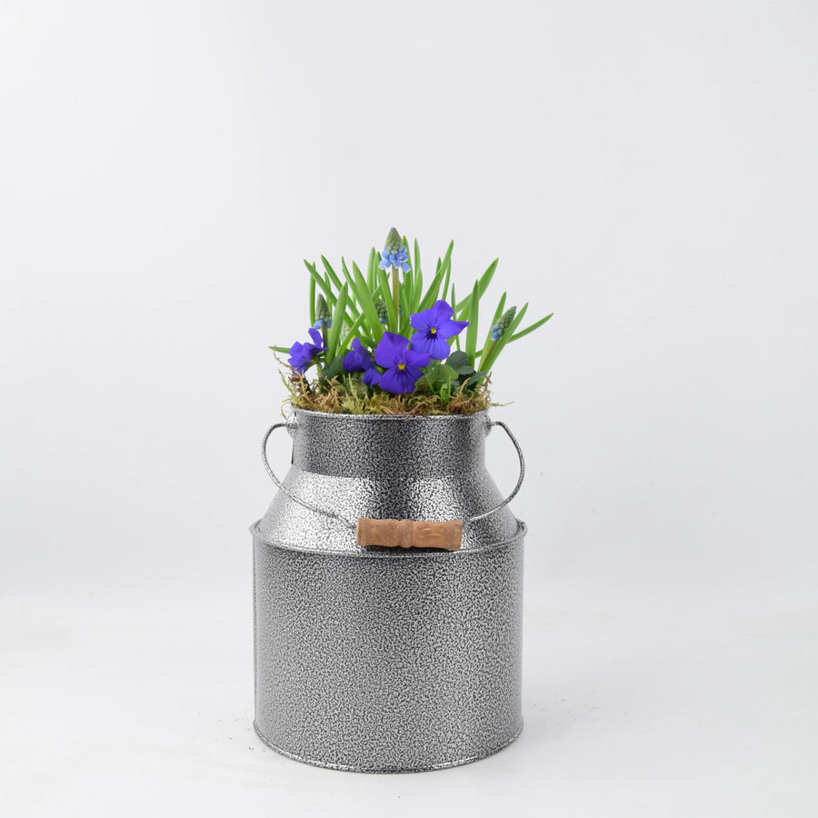 Seasonally Planted Hammered Grey Churn plants by post