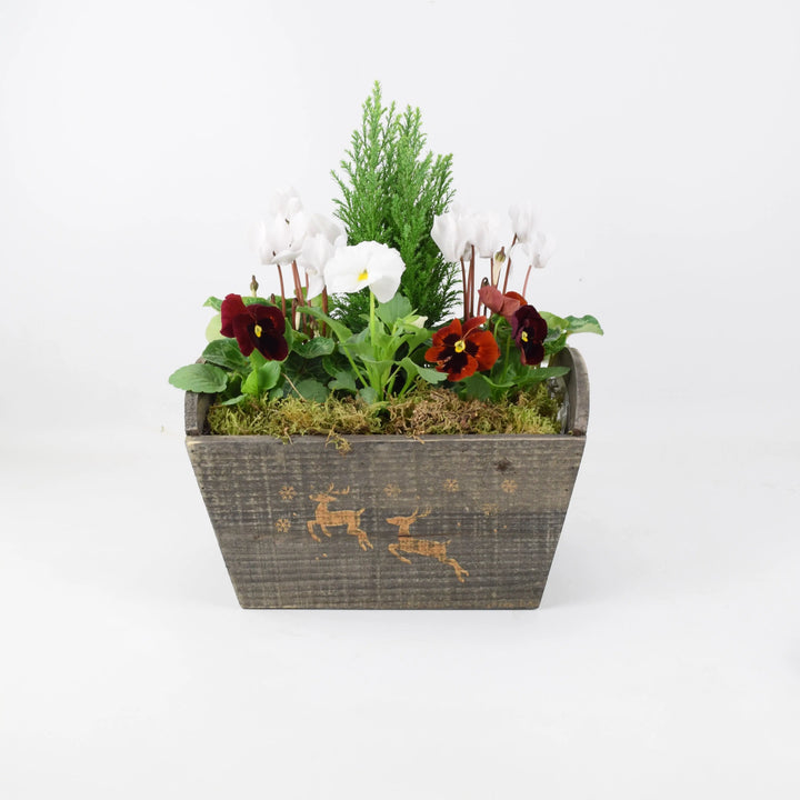 Christmas Outdoor Planted Wooden Reindeer Trough Plants By Post