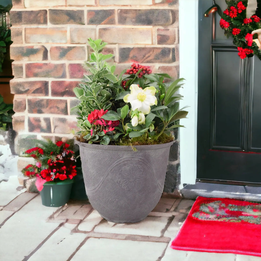 Festive Premium Planted Container