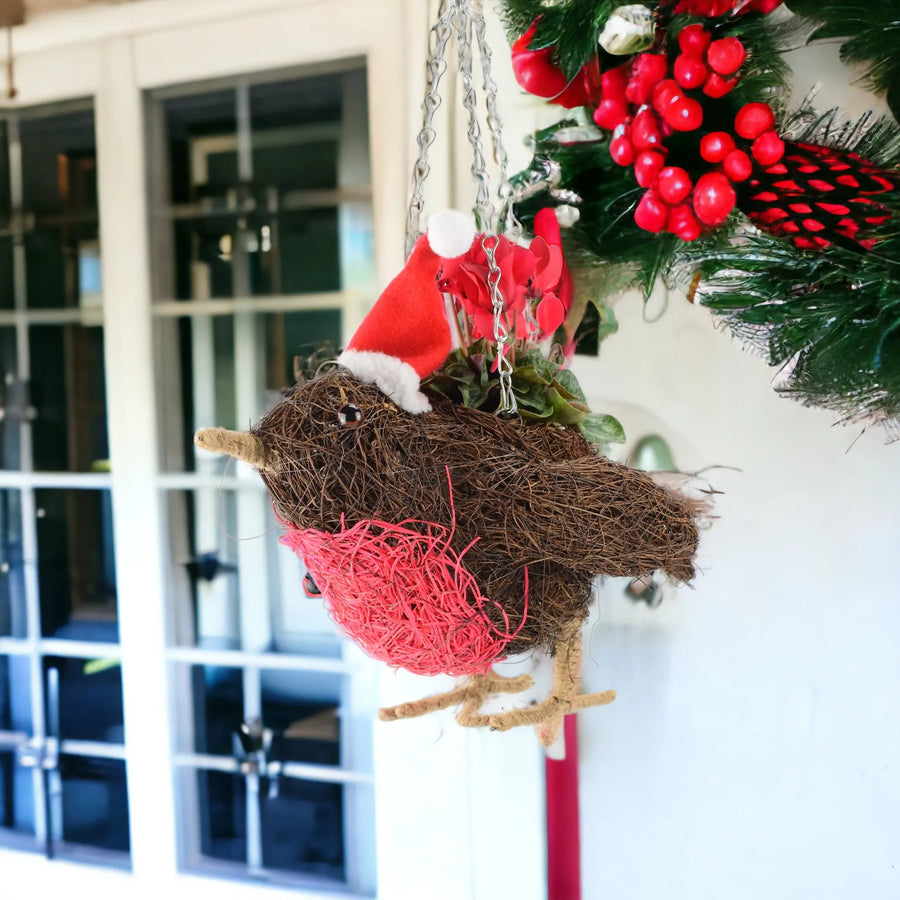 Robin Christmas Hanging Basket with Red Cyclamen Gift