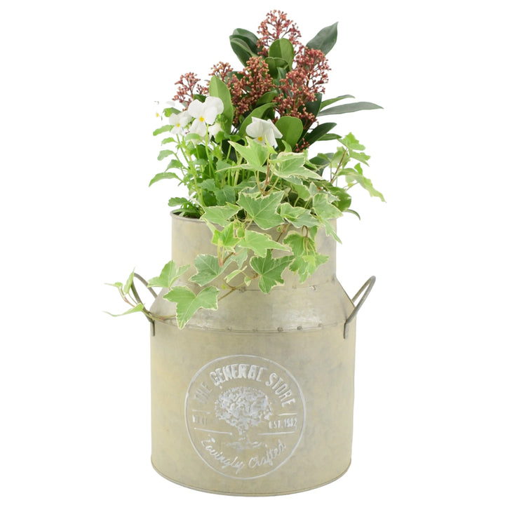 23cm Festive Outdoor Milk Churn Planter plants by post