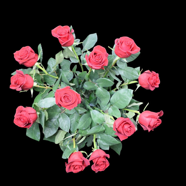 Premium Valentine’s Day Dozen Red Freedom Roses