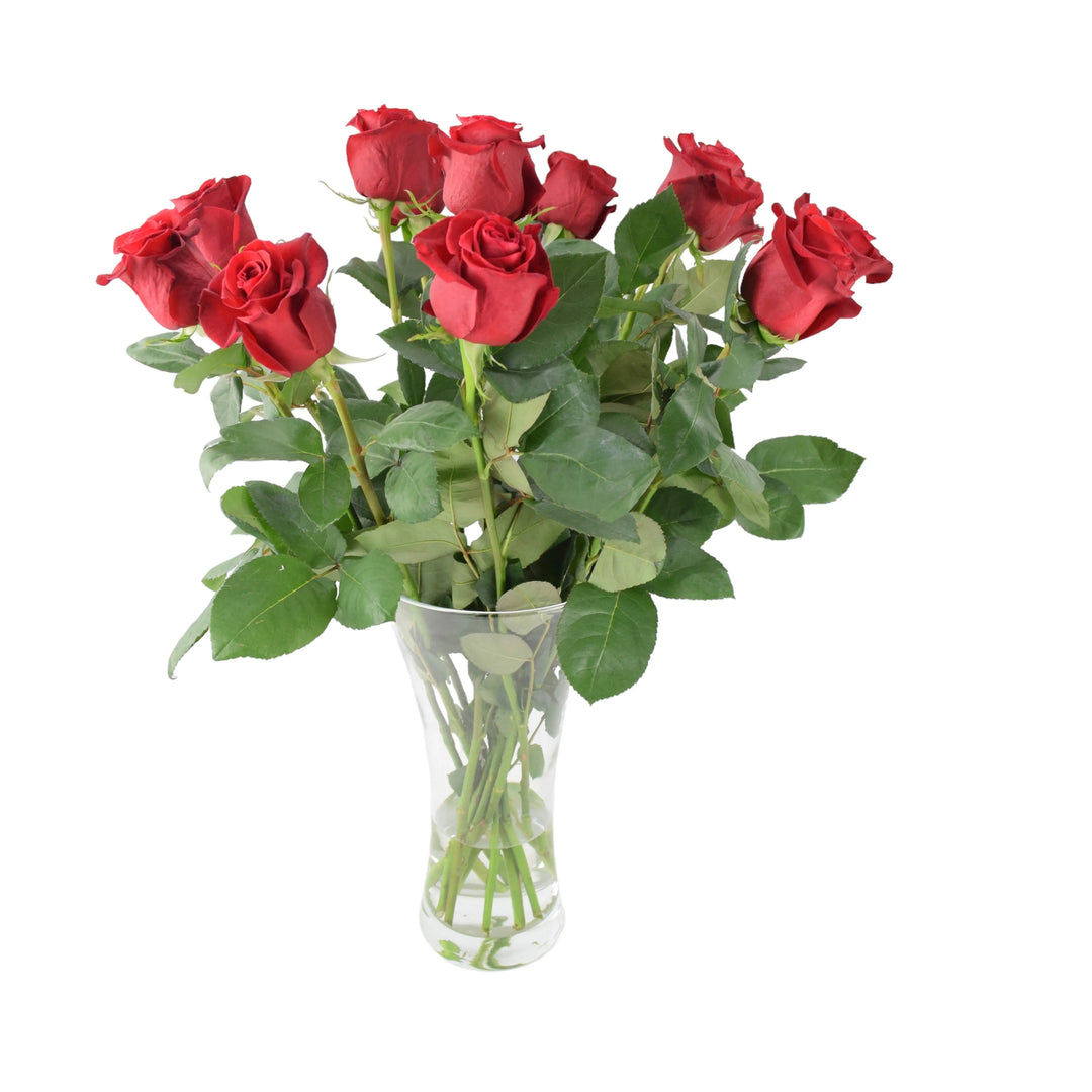 Premium Valentine’s Day Dozen Red Freedom Roses