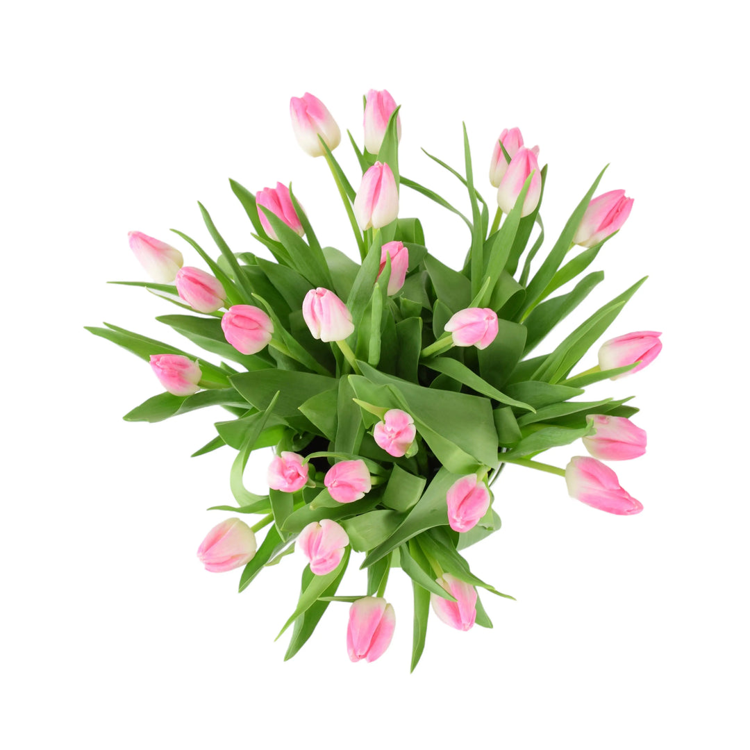 25 Mother’s Day Pink Tulips In Zinc Pail British Grown