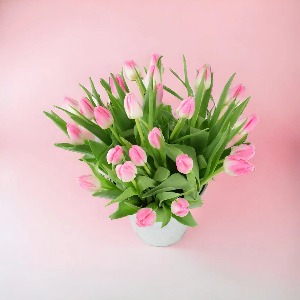 25 Mother’s Day Pink Tulips In Zinc Pail British Grown