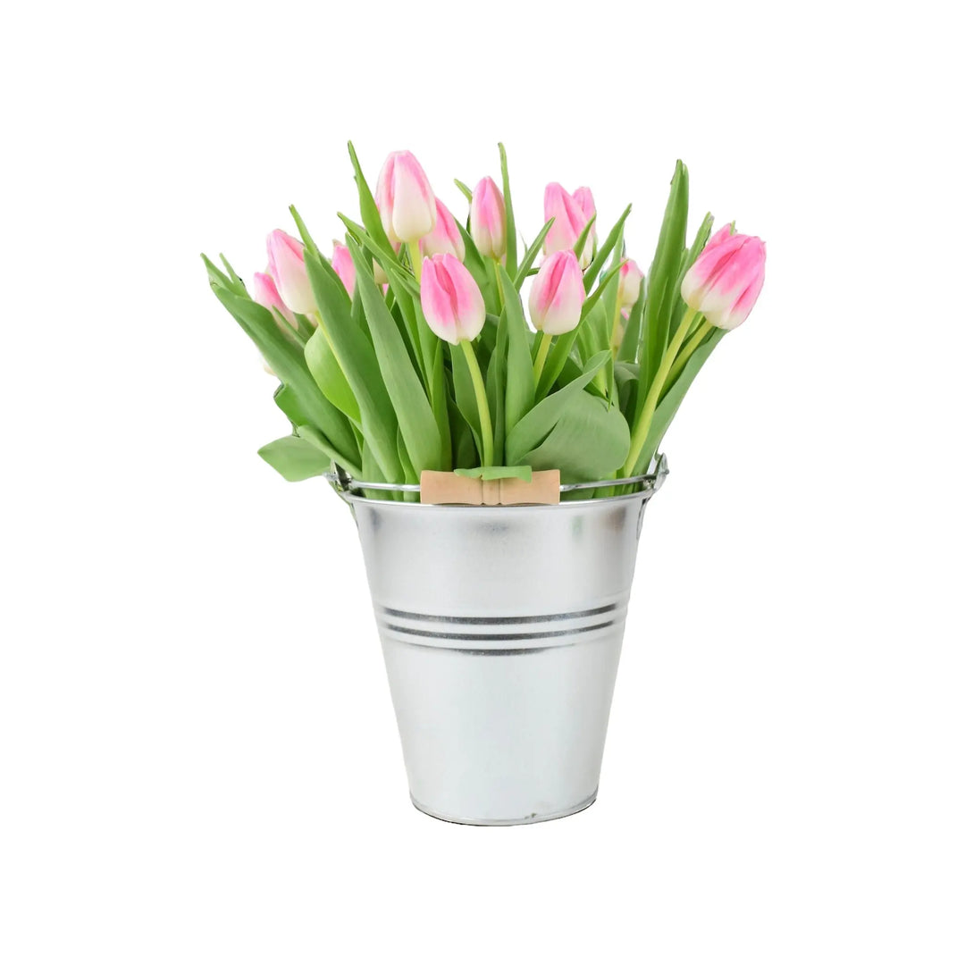 25 Mother’s Day Pink Tulips In Zinc Pail British Grown