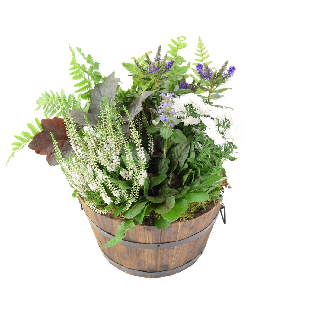 Seasonal Planted Wooden Barrel 30cm Plants By Post