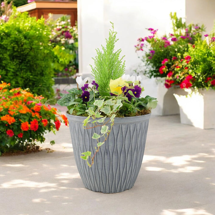 Seasonal Planted Container In 26cm Pot Plants By Post