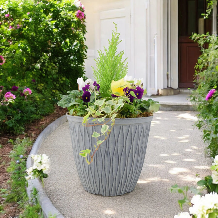 Seasonal Planted Container In 26cm Pot Plants By Post