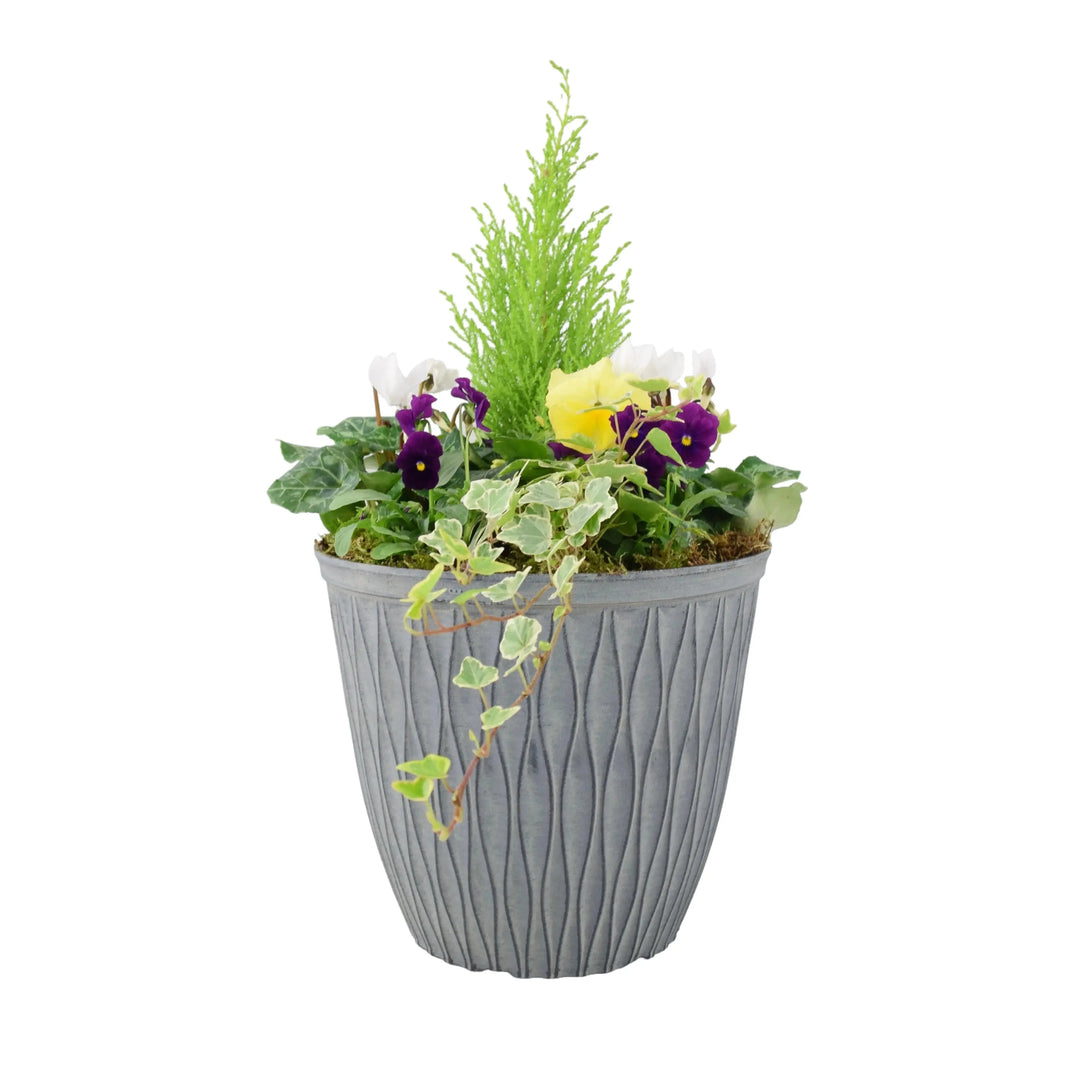 Seasonal Planted Container In 26cm Pot Plants By Post