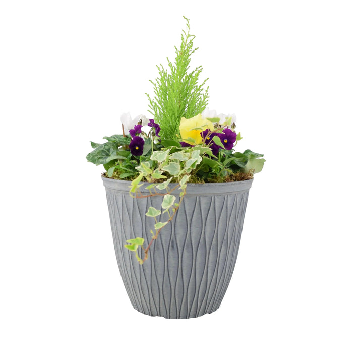 Seasonal Planted Container In 26cm Pot Plants By Post