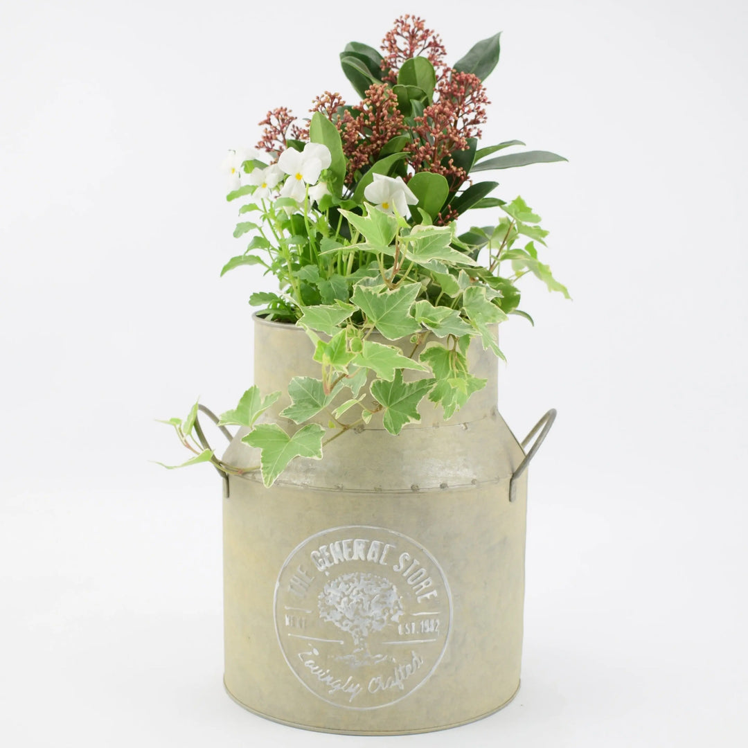 Autumn Outdoor Milk Churn Planter plants by post