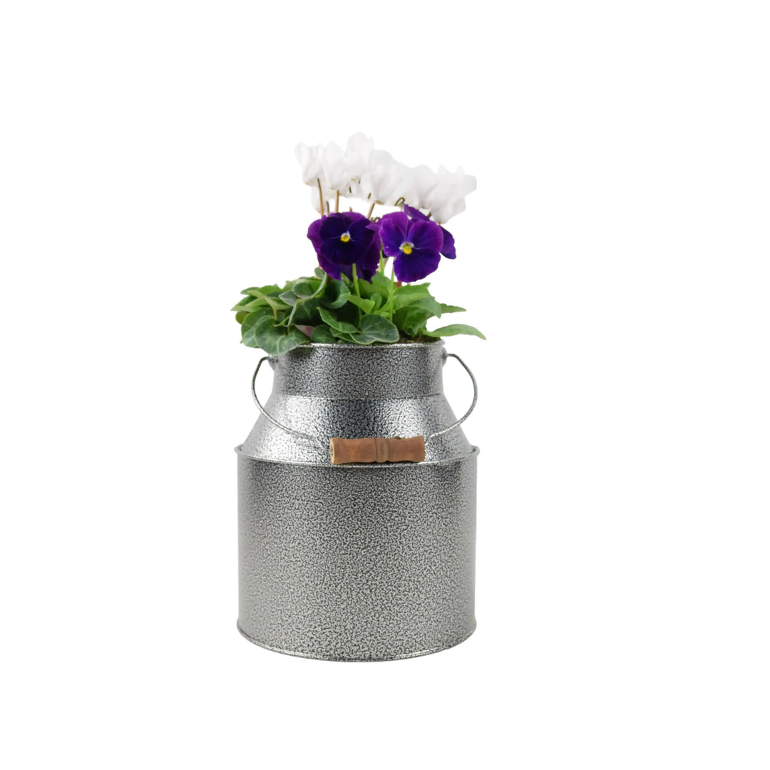 Seasonally Planted Hammered Grey Churn plants by post