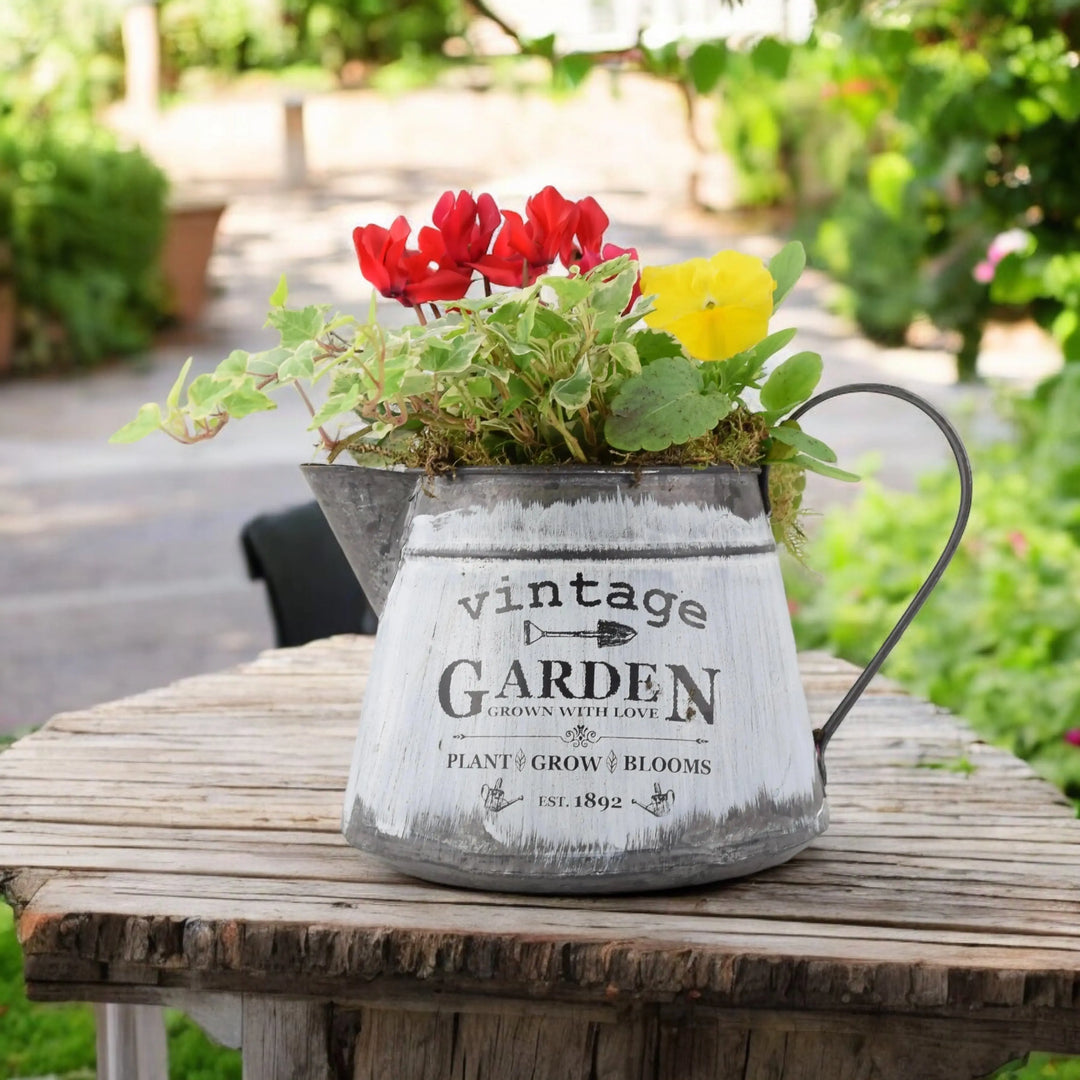 Seasonal Vintage Jug Planter Plants By Post