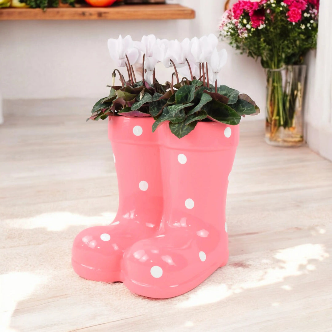 Wellies Seasonal Planter Plants By Post