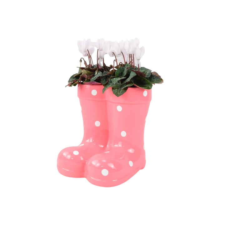 Wellies Seasonal Planter Plants By Post