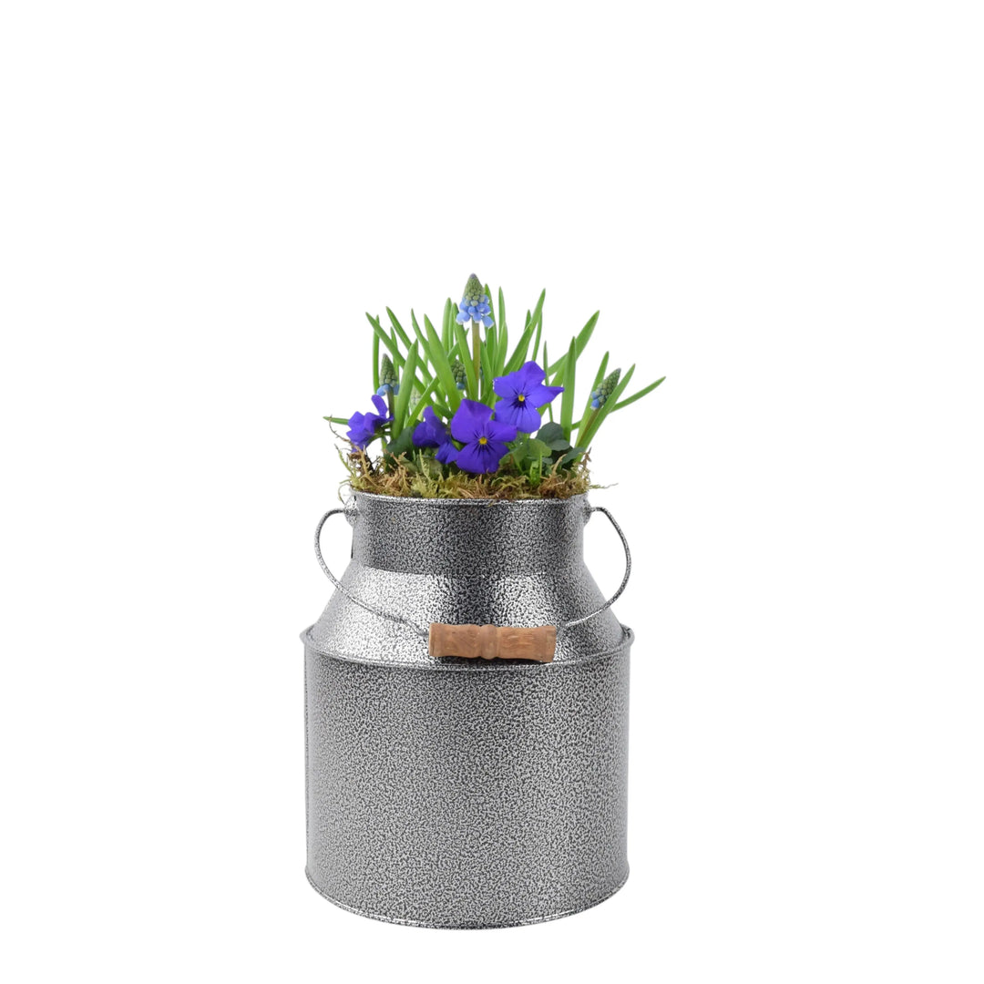 Seasonally Planted Hammered Grey Churn plants by post