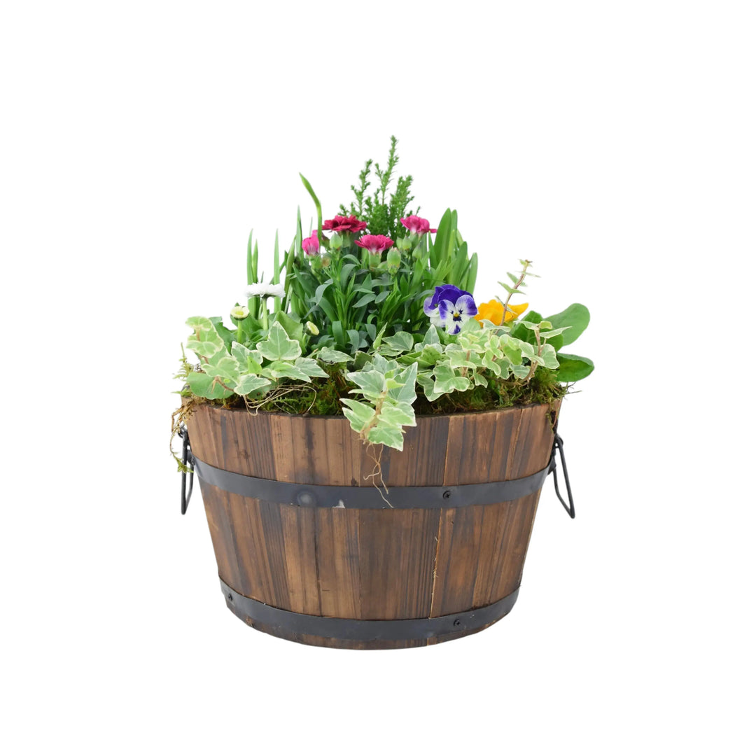 Seasonal Planted Wooden Barrel 30cm Plants By Post