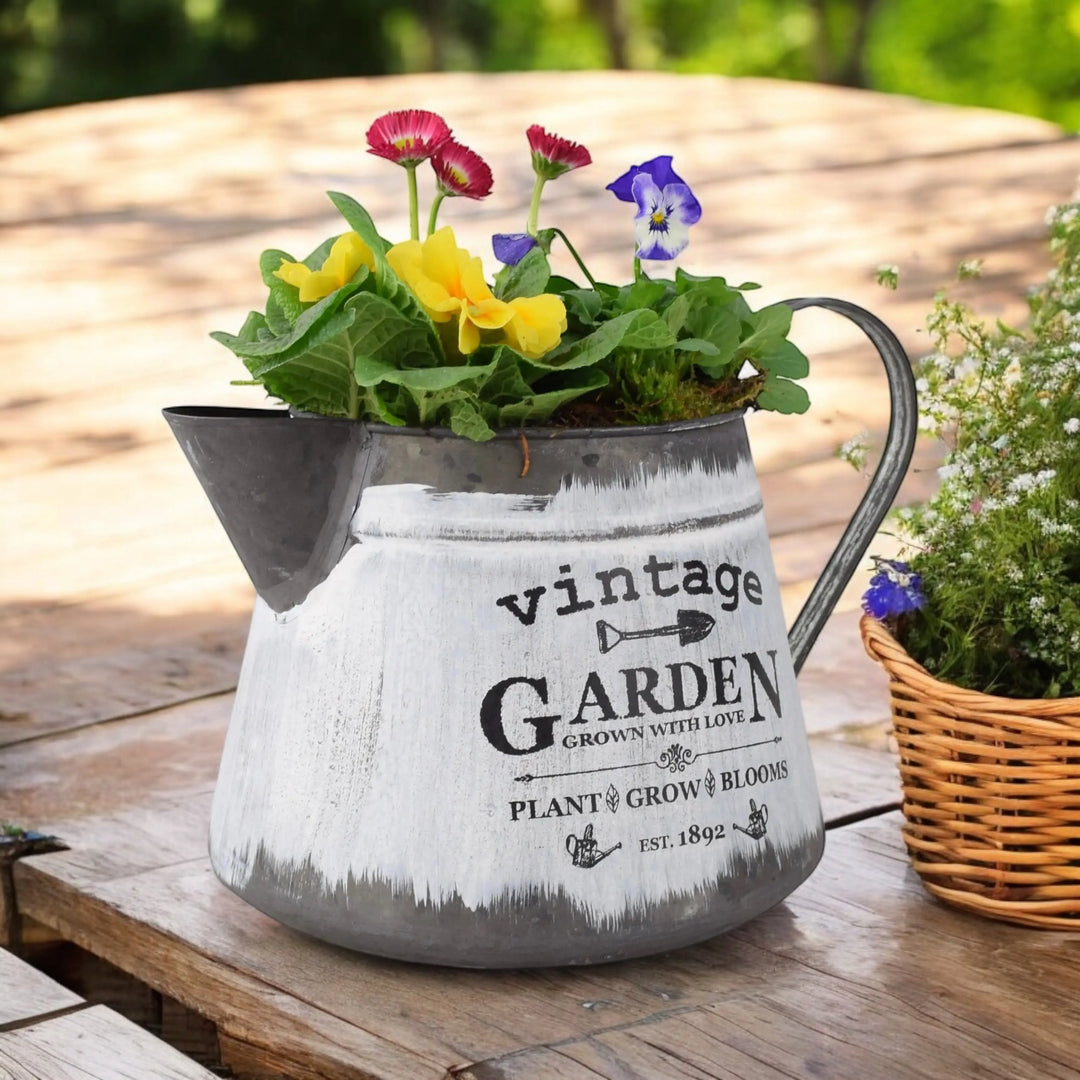 Seasonal Vintage Jug Planter Plants By Post