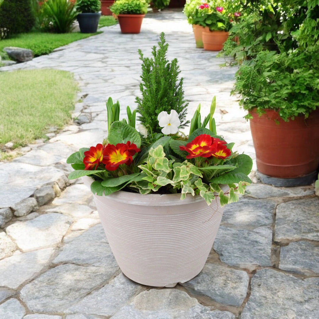 Seasonal Planted Container In 26cm Pot Plants By Post