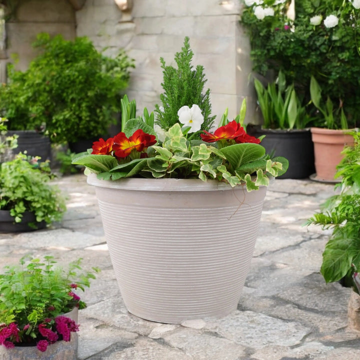 Seasonal Planted Container In 26cm Pot Plants By Post