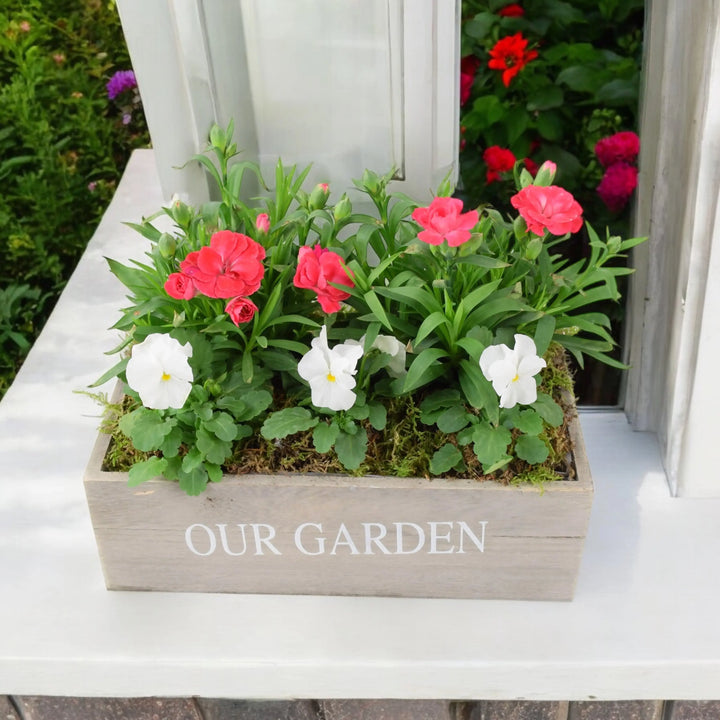 Our Garden Wooden Seasonal Planter Plants By Post