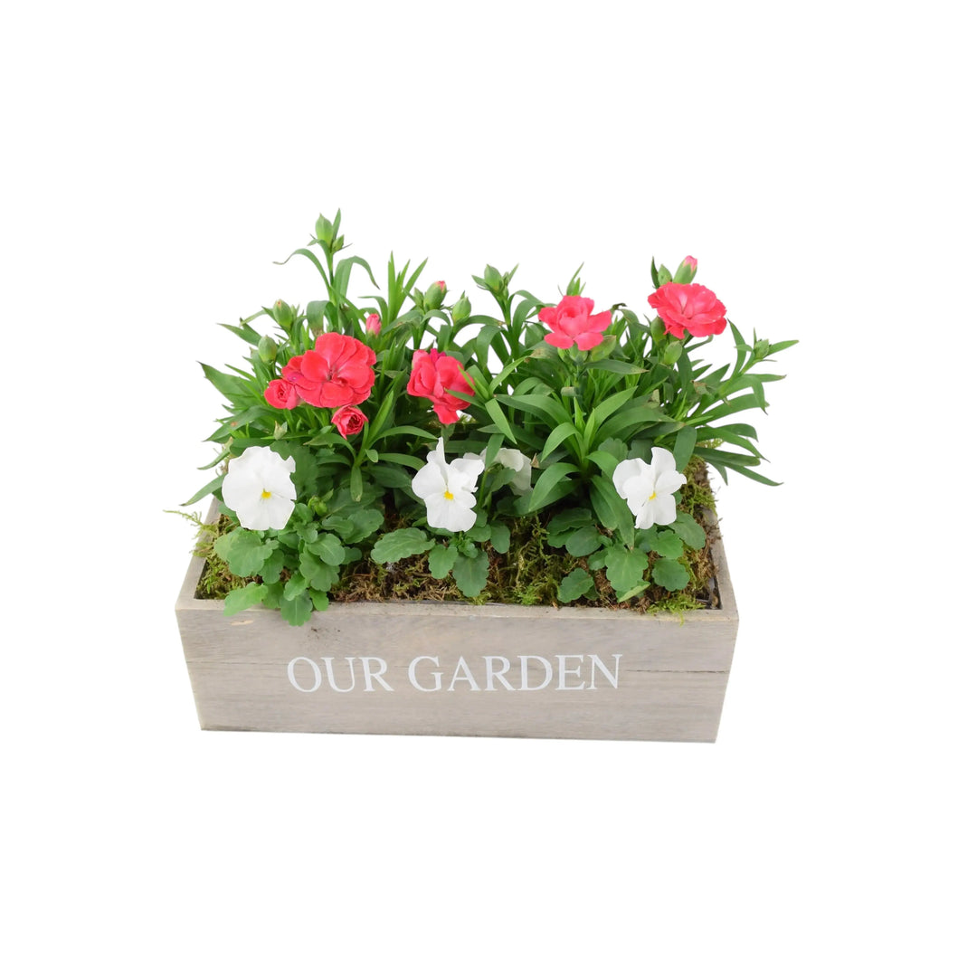 Our Garden Wooden Seasonal Planter Plants By Post