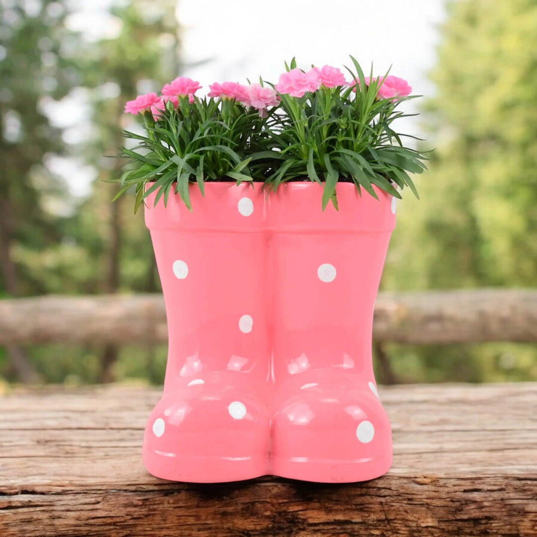 Wellies Seasonal Planter Plants By Post