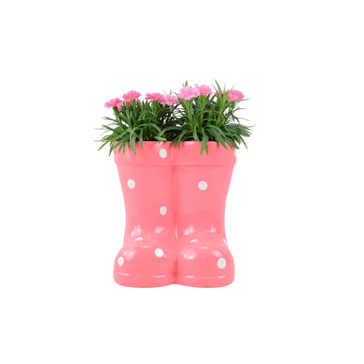 Wellies Seasonal Planter Plants By Post