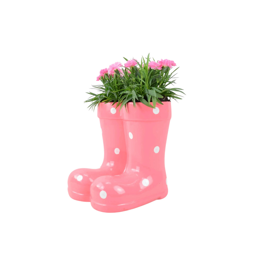 Wellies Seasonal Planter Plants By Post