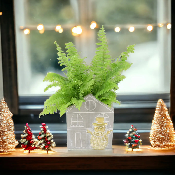 Boston Fern 12cm Snowman House Concrete Pot