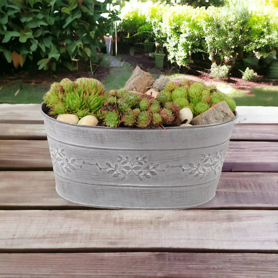 Sempervivum Leafy Vine Trough Planter Plants By Post