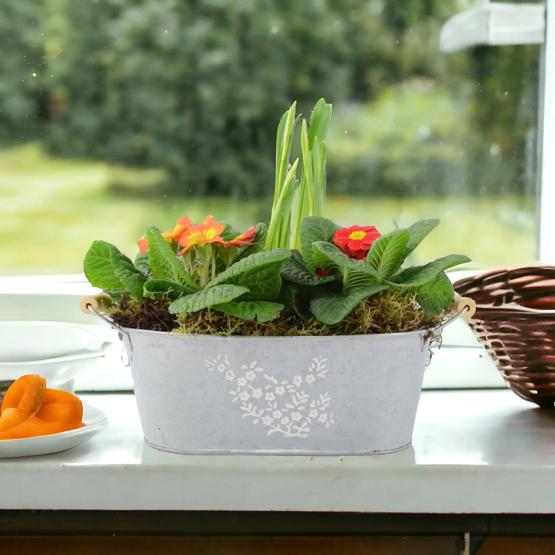 Primrose & Tete a Tete Planted Trough Container