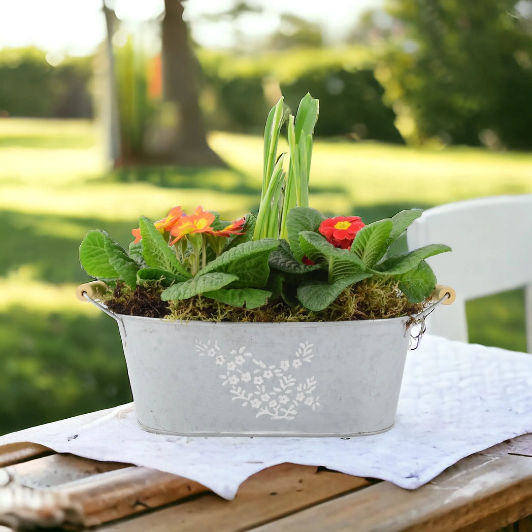 Primrose & Tete a Tete Planted Trough Container