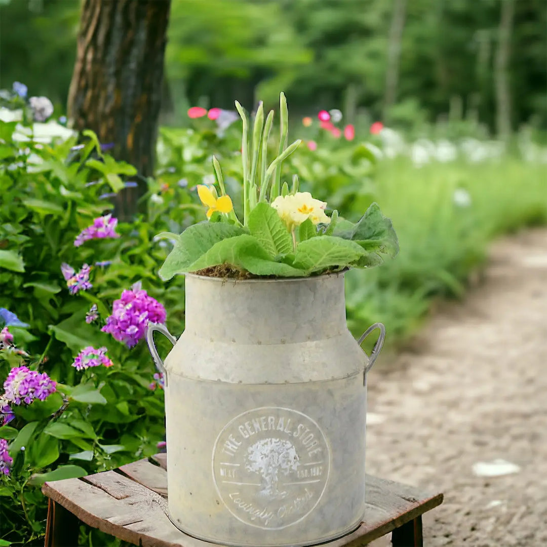 23cm Spring Outdoor Milk Churn Planter