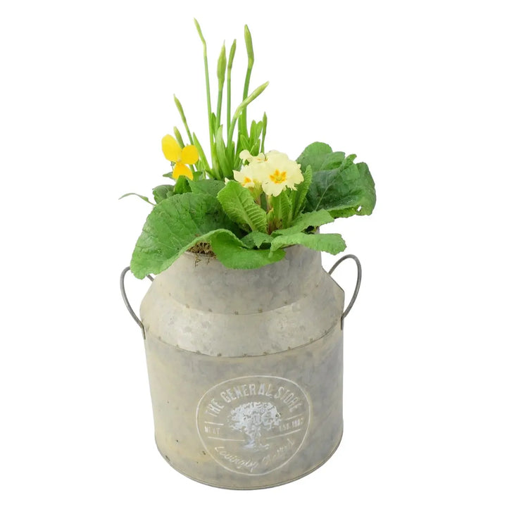 23cm Spring Outdoor Milk Churn Planter