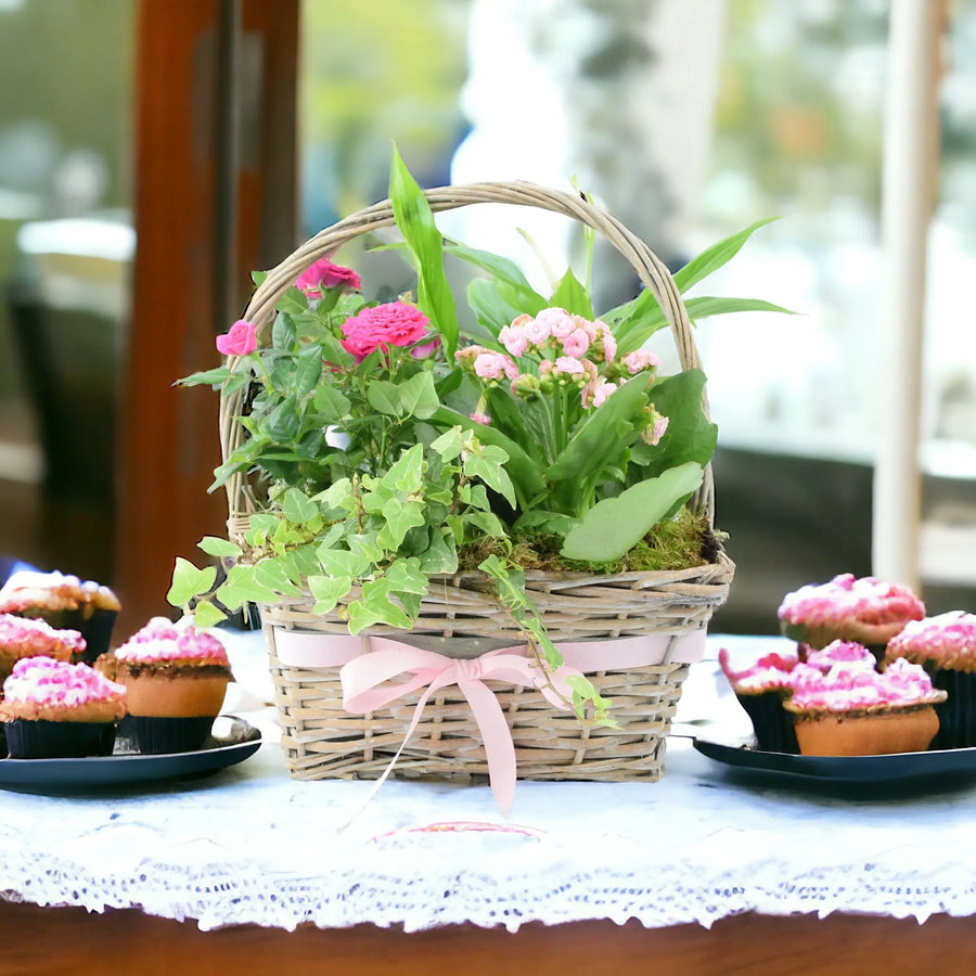 Mothers Day Planted Basket