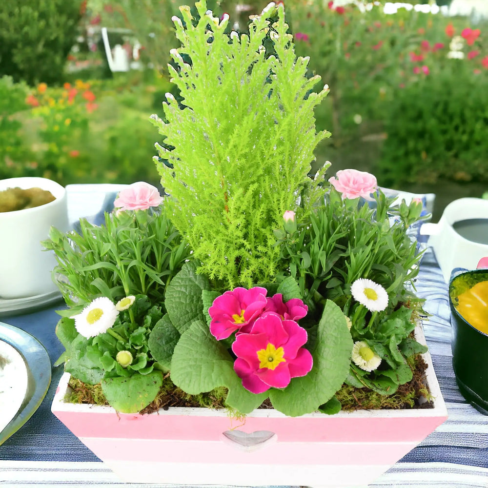 Mother’s Day Pink Wooden Trough