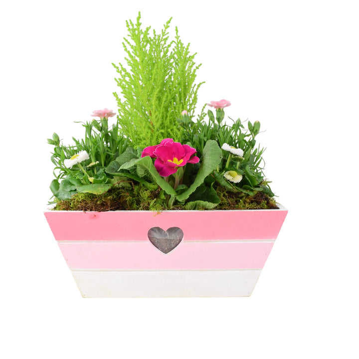 Mother’s Day Pink Wooden Trough