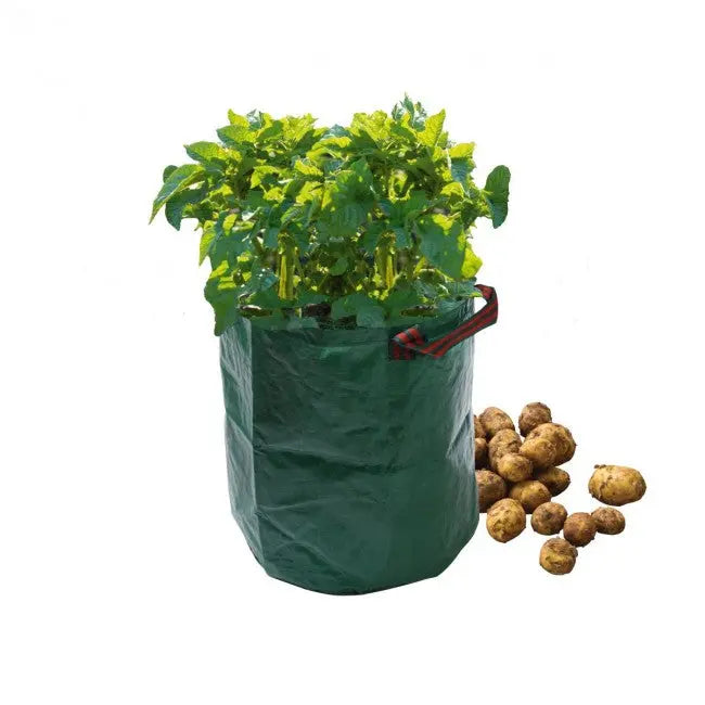 Potato Bag